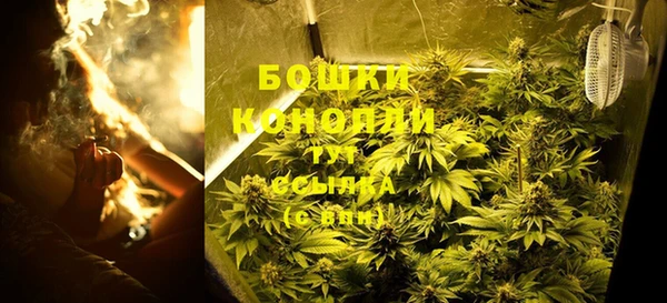 тгк Белокуриха