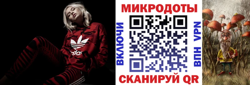 купить закладку  blacksprut ссылки  Галлюциногенные грибы MAGIC MUSHROOMS  Елизово 