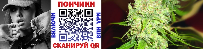 Марихуана SATIVA & INDICA Елизово